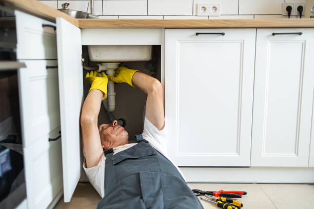 Best Residential Plumbing Services  in Homer City, PA